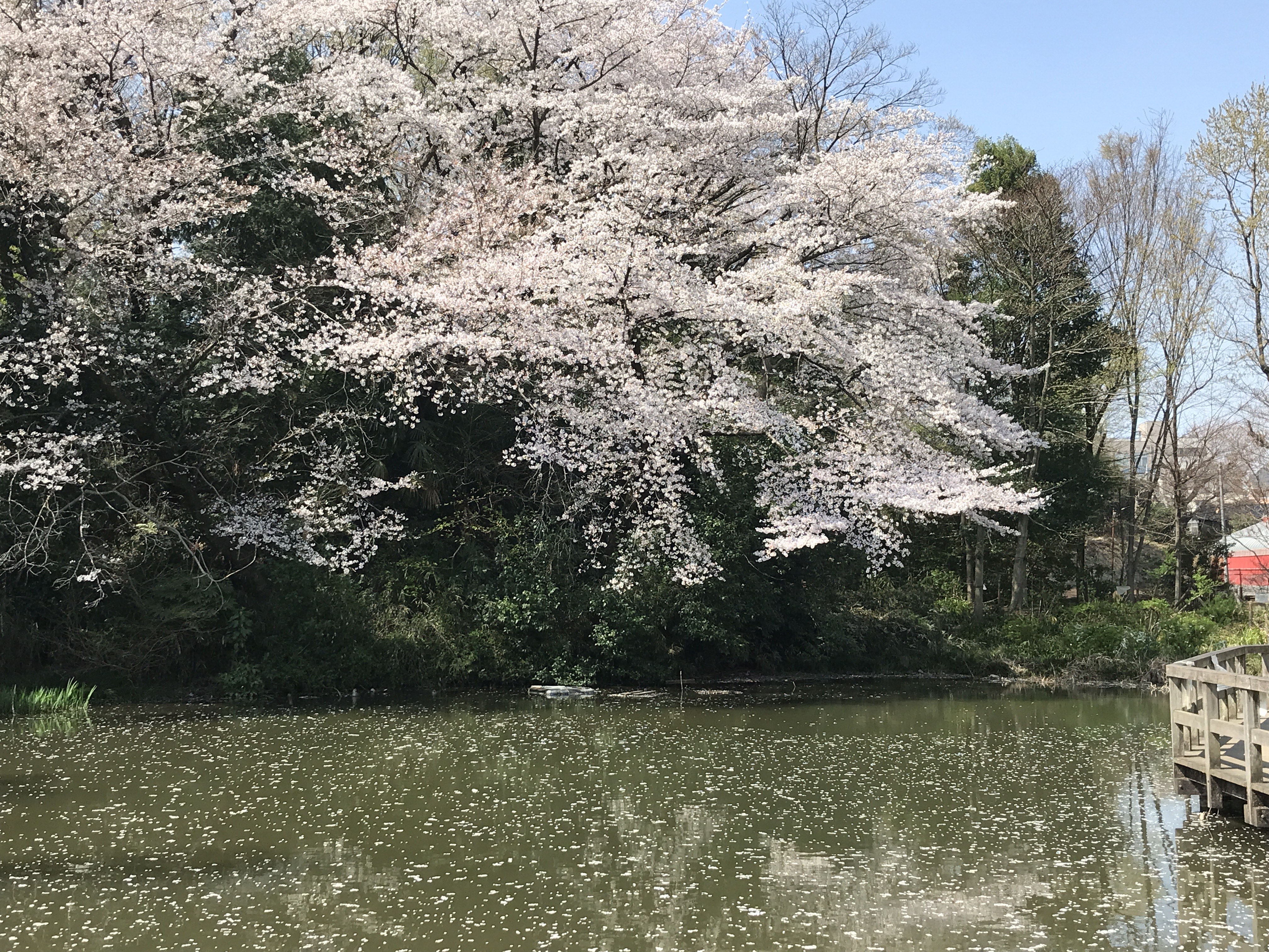 【リフォーム情報館】国分寺市