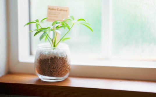 先進的窓リノベ2025事業