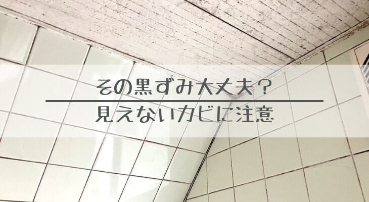 その黒ずみ放置して大丈夫？カビのリスクと対策